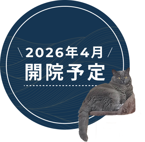 開院予定